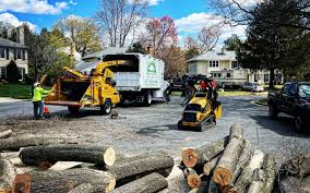 Best Aeration Services  in Lakeview, NY