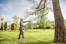 Best Soil Testing and Treatment  in Lakeview, NY