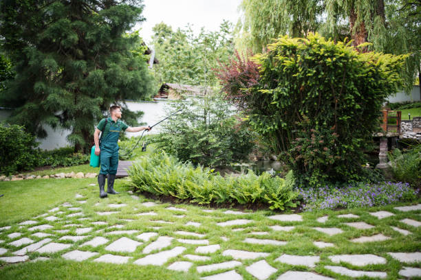 Professional Tree Services in Lakeview, NY
