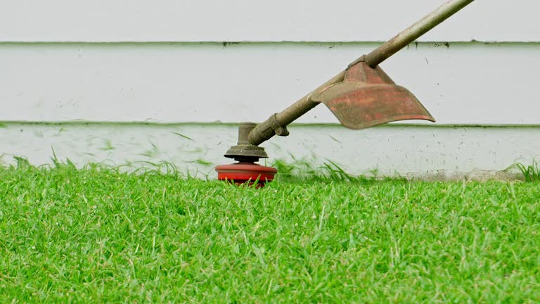 Best Lawn Drainage Solutions  in Lakeview, NY